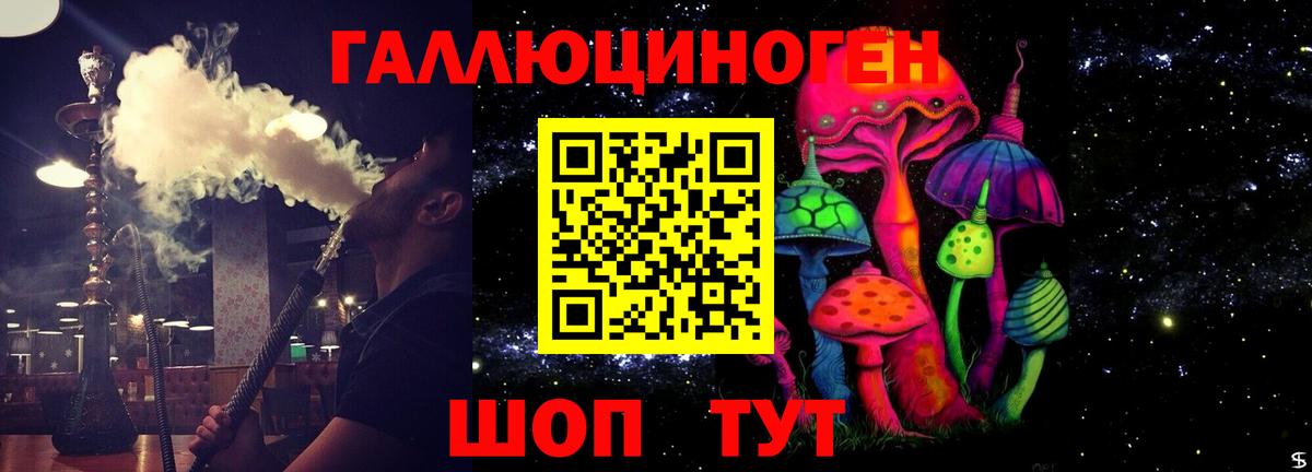 Псилоцибиновые грибы мицелий Малоярославец